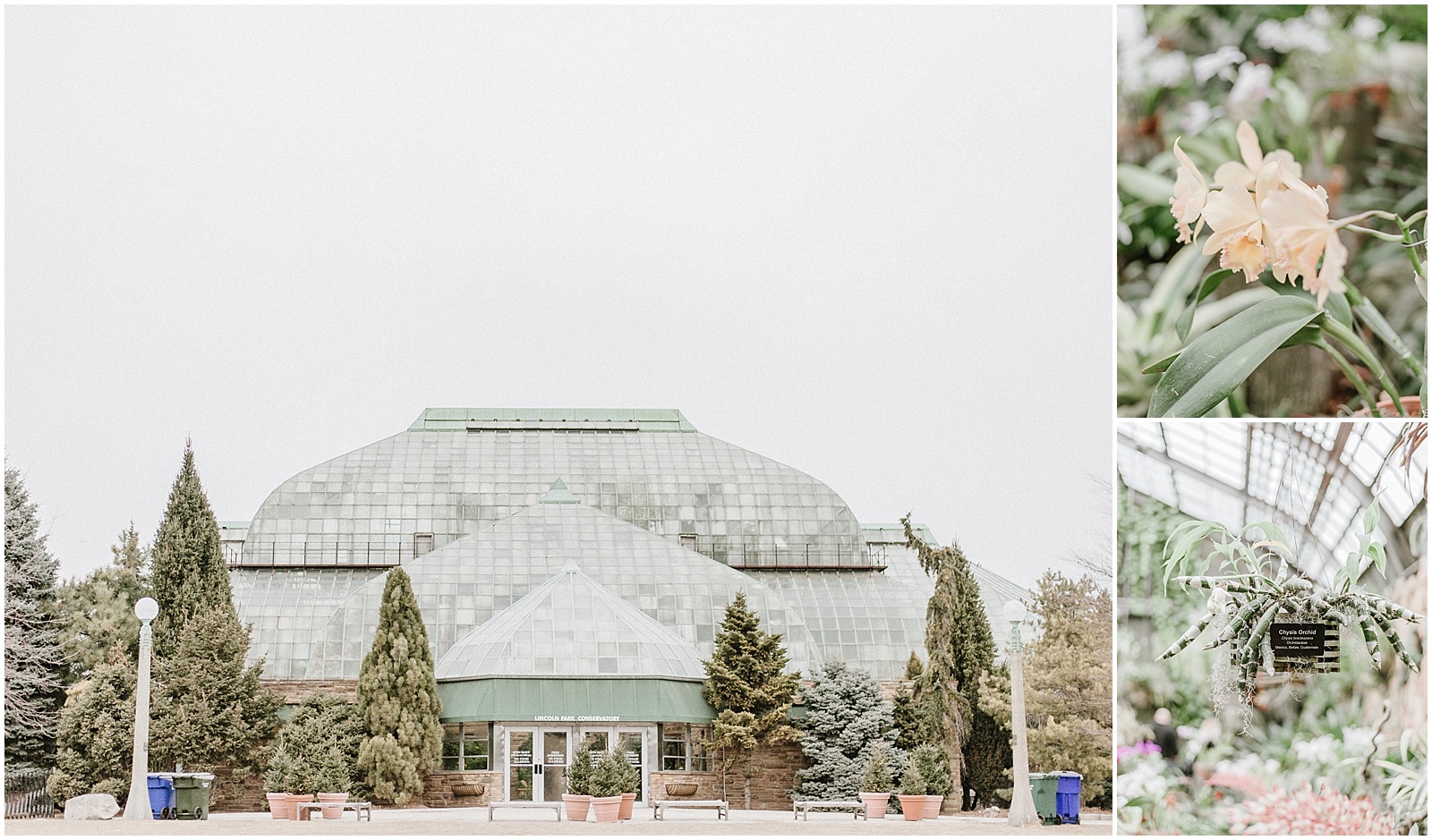Lincoln Park Conservatory in Chicago, IL