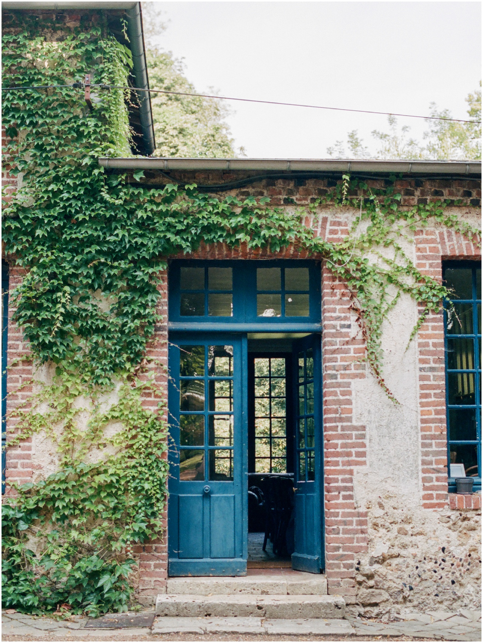 blue french door with ivy
