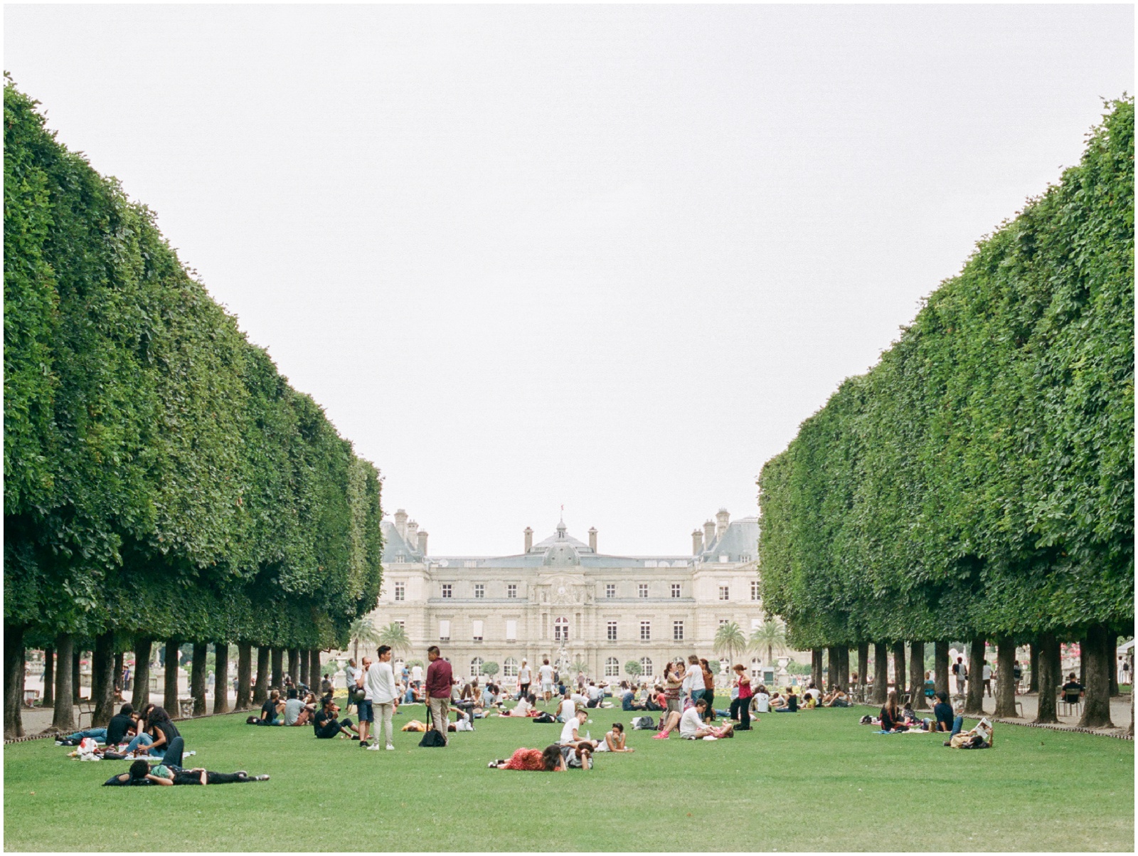 trees lining a grassy field with luxembourg palace in the background