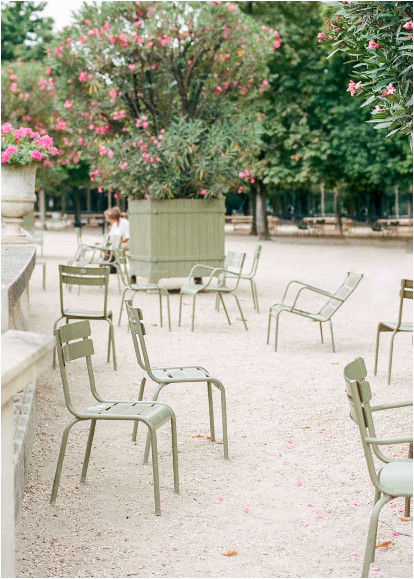 chairs in the luxembourg gardens in paris france
