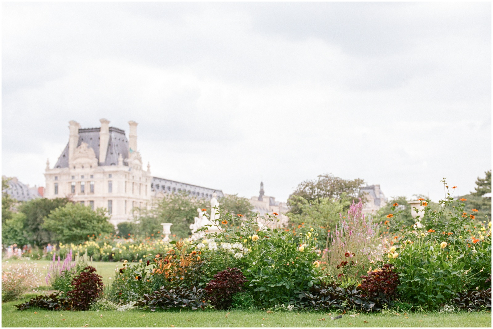 flowers in the tuileries garden in front of the louvre