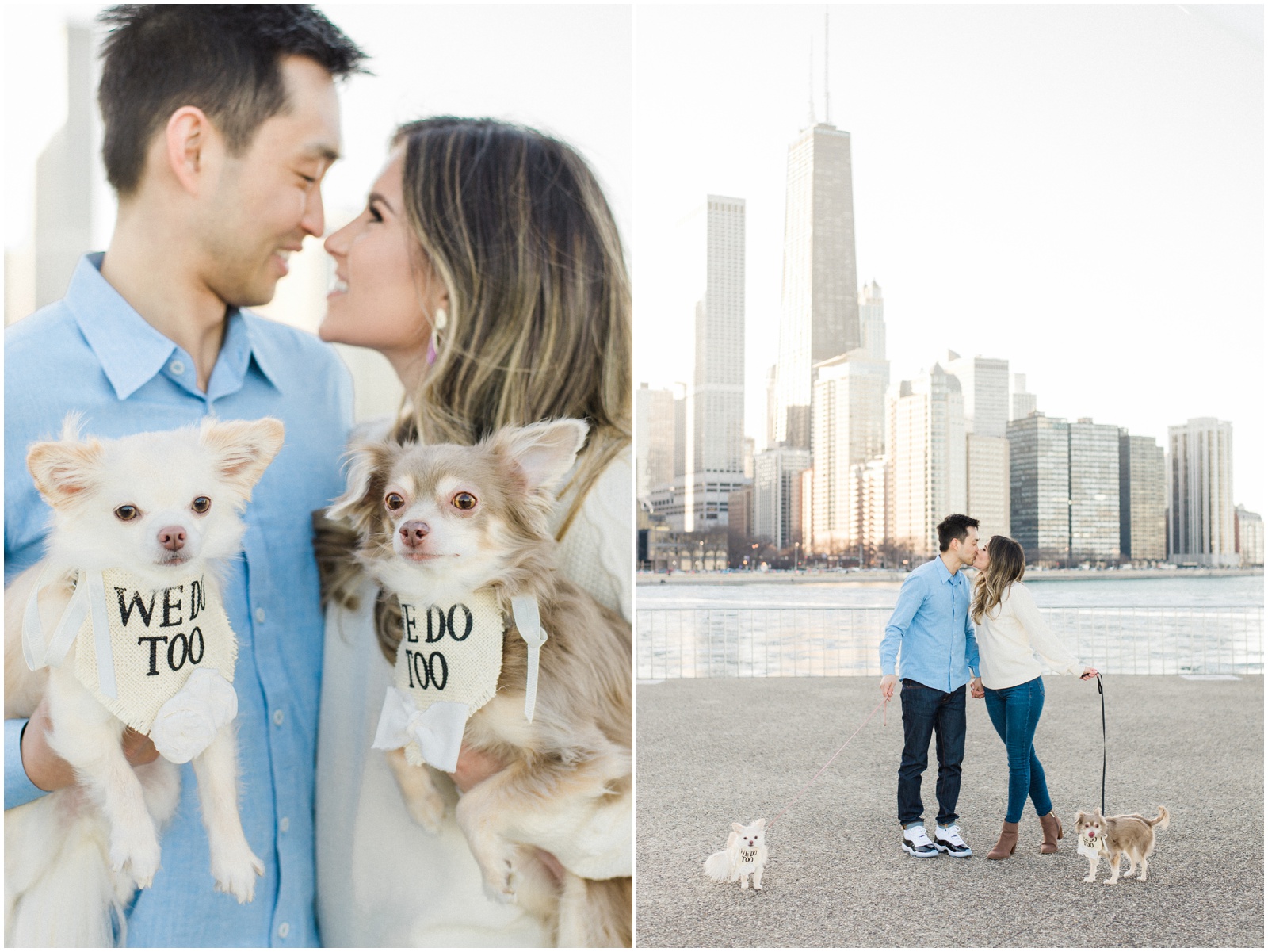 engaged couple holding dogs