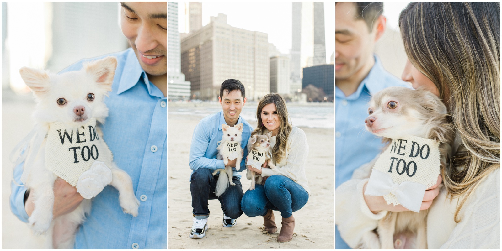 cute engagement session with dogs