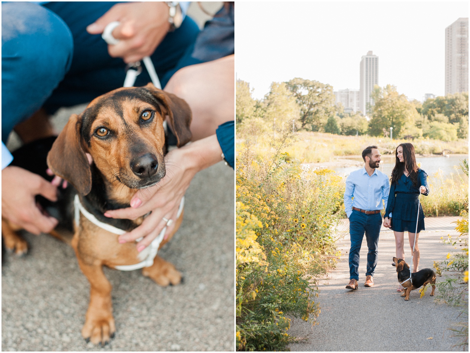 chicago engagement session with dog