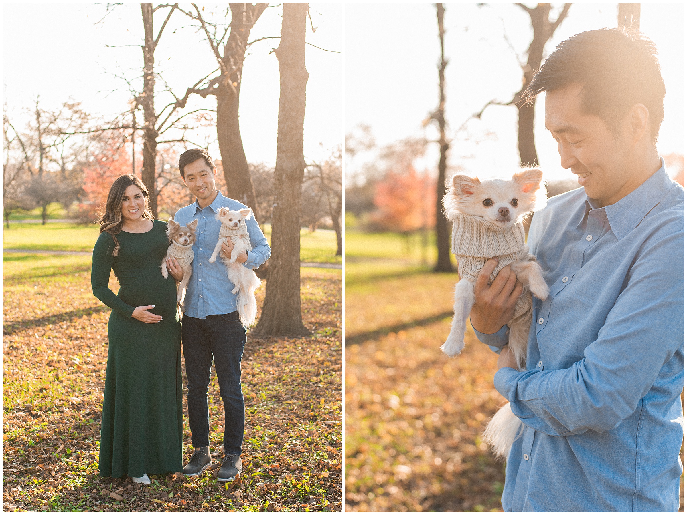 humboldt park maternity photo session