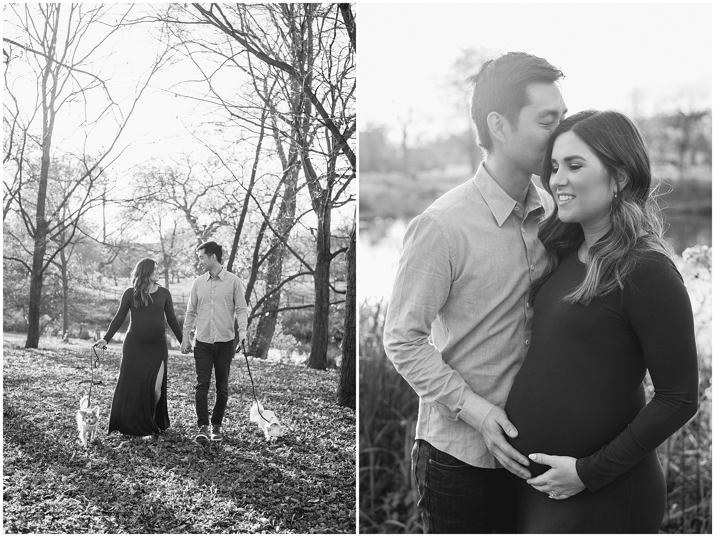 maternity photos at humboldt park chicago
