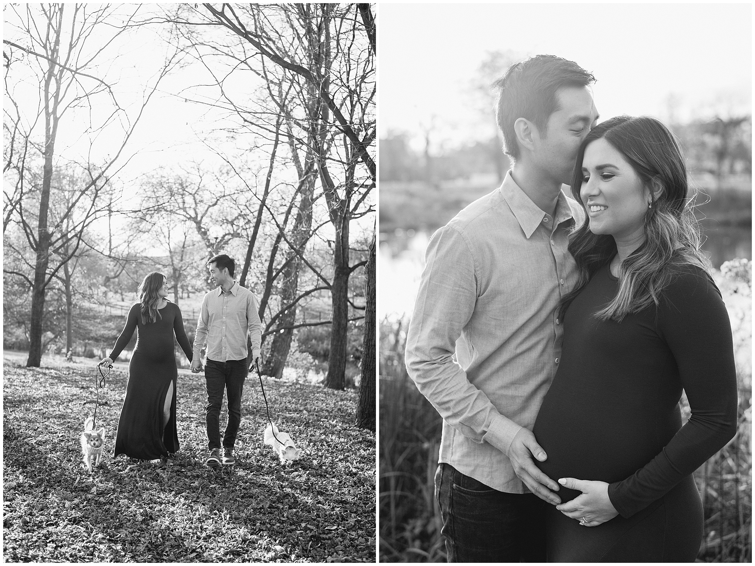 maternity photos at humboldt park chicago
